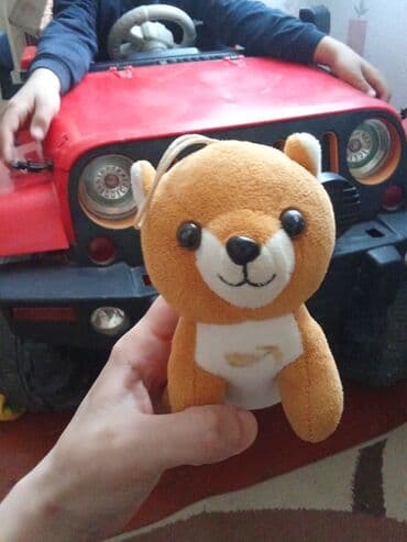 it ev: Zvonok, 1 ay, Erkek, Ödənişli çatdırılma, Ünvandan götürmə, Pulsuz çatdırılma — 1