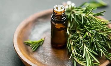 Bədənə qulluq: Bibəriyyə yağı Rozmarin yağı Saçlara,içməyə,massaj üçün istifadə — 1
