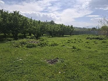 qarayev ev: Qusar, 72 kv. m, 3 otaqlı, Hovuzsuz, Qaz, İşıq, Su — 5
