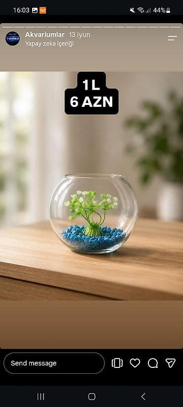 akvariu: Yumru akvarium, Boş, 1 l — 10