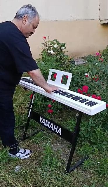 dynacord cms 1600: Piano, Rəqəmsal, Yeni, Pulsuz çatdırılma — 3