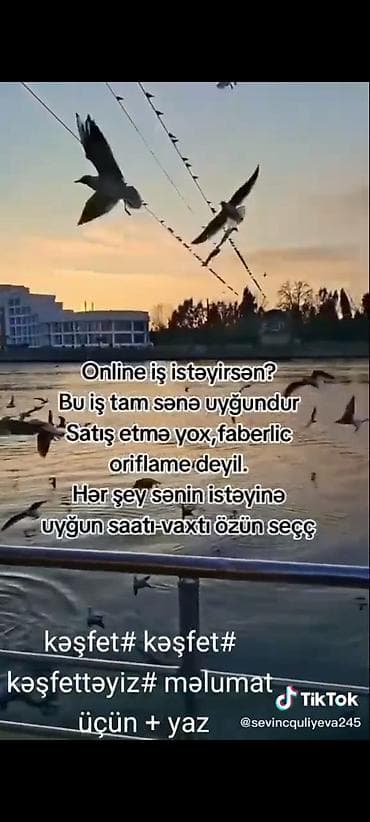 28 mall vakansiya 2021: Online iş imkanları – satışsız, sərbəst qrafiklə Təsvir: - Tamamilə — 1