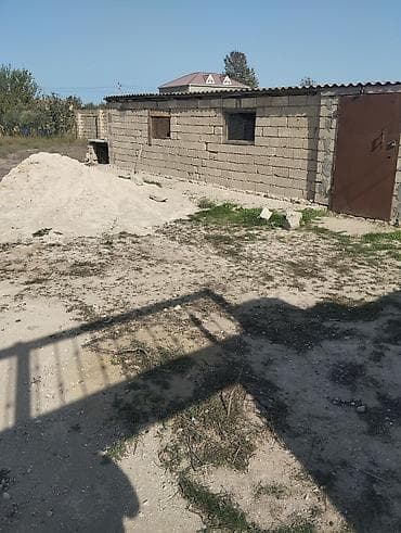 binə savxozda torpaq: Kənd təsərrüfatı — 3