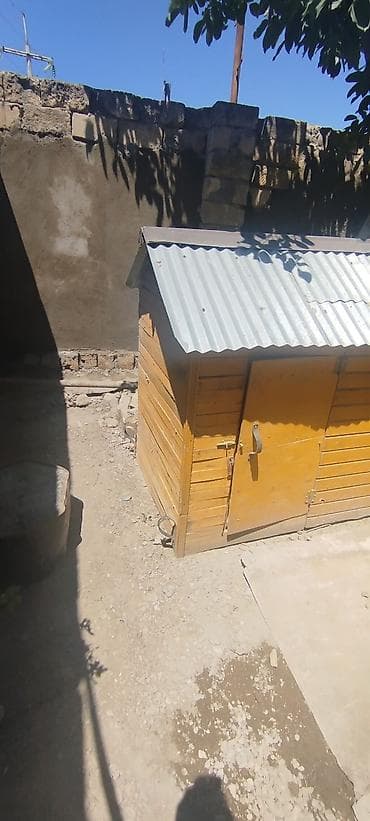 giris qapi: Taxta toyuq/broder evi - Material: qalın taxta karkas, üstü — 2