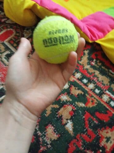 it ev: Zvonok, 1 ay, Erkek, Ödənişli çatdırılma, Ünvandan götürmə, Pulsuz çatdırılma — 3