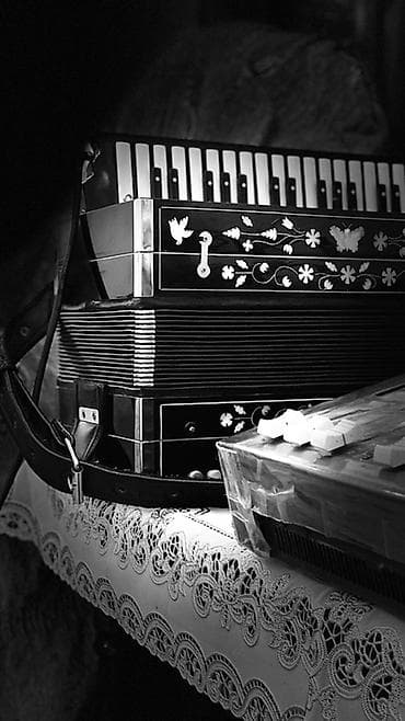 Akustik Akkordeon