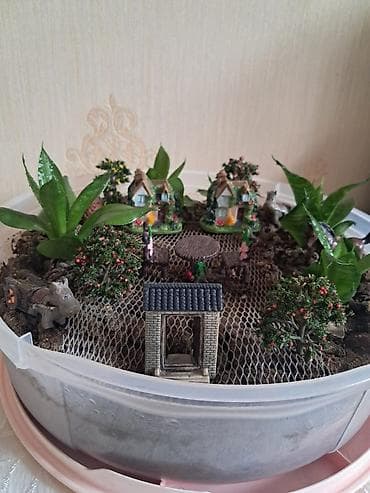 matras taxt: Mini bağ-teraryum kompozisiyası - Dairəvi şəffaf qabda hazırlanmış — 2