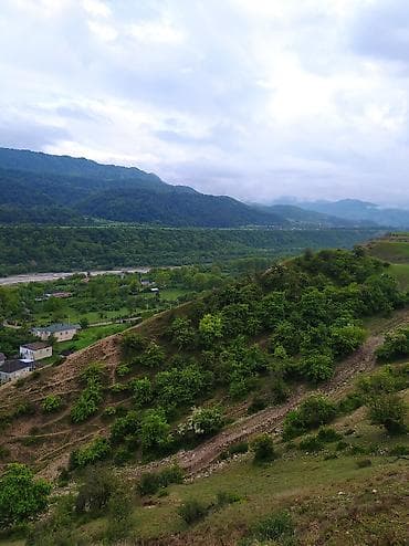 torpaq satış: 50 sot, Mülkiyyətçi, Kupça (Çıxarış) — 5