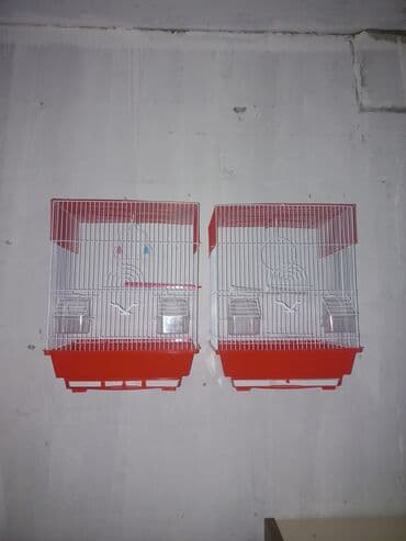 İtlər: Mağaza bağlandıqı üçün maya dəyərindəndə aşağı qiymətə satılır. 7 — 2