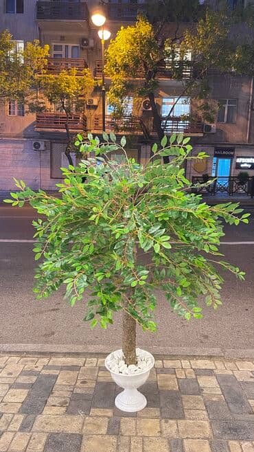 sederekde kafel metlax qiymetleri: Depodan bir basa satis Usda xidmetimizde var Sadece magazamiza — 22