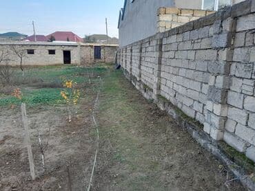 bine atciliqda torpaq: 7 sot, Tikinti, Mülkiyyətçi, Kupça (Çıxarış) — 5