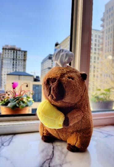 azerbaycan ikinci el: Oyuncaqlar — 10