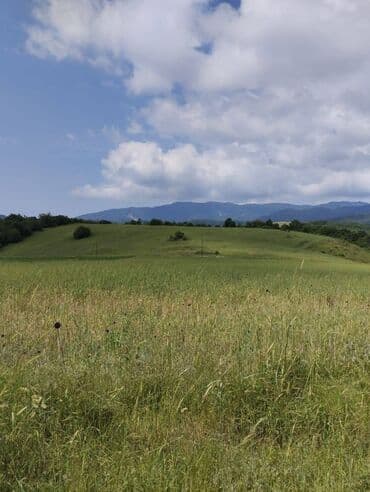 yasmada torpaq sahesi satilir: 362 sot, Biznes üçün, Mülkiyyətçi, Kupça (Çıxarış) — 3