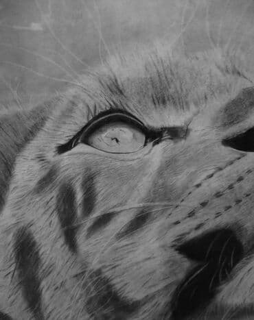 ana dilinə aid şəkillər çəkmək: Qara karandaşla 30 saata çəkilmiş hiperrealist rəsm əsəri satılır — 2