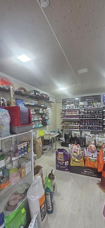 Птицы: Nizami rayonu 214 saylı məktəblə üzbəüz 30 kv.m çağaza arendaya — 8