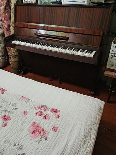 gitara klasik: Oktava upright pianino - Marka/model: Oktava (şaquli/royal tipli — 1