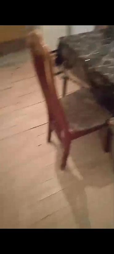 kiraye evler savalan: 100 kv. m, 3 otaqlı, Qaz, İşıq, Su — 2