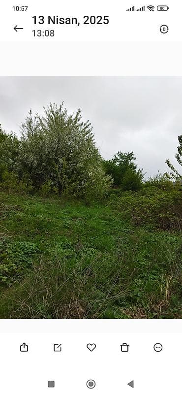 nargile residence evler: Quba, 2 otaqlı, Köhnə tikili, 60 kv. m — 10