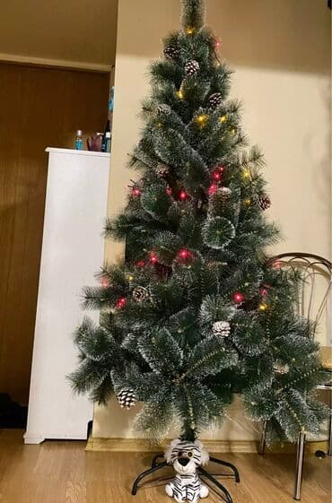 böyük yolka: Yolka — 1