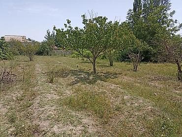 icareye meyve terevez dukani: 15 sot, Kənd təsərrüfatı — 7