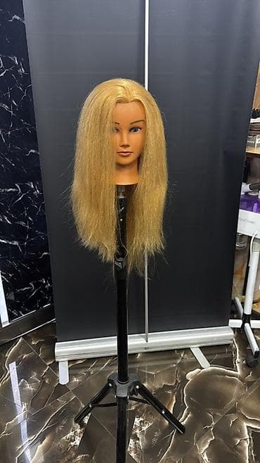 Avadanlığın icarəsi: Baş — 1