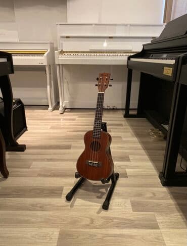 Ukulele, Yeni