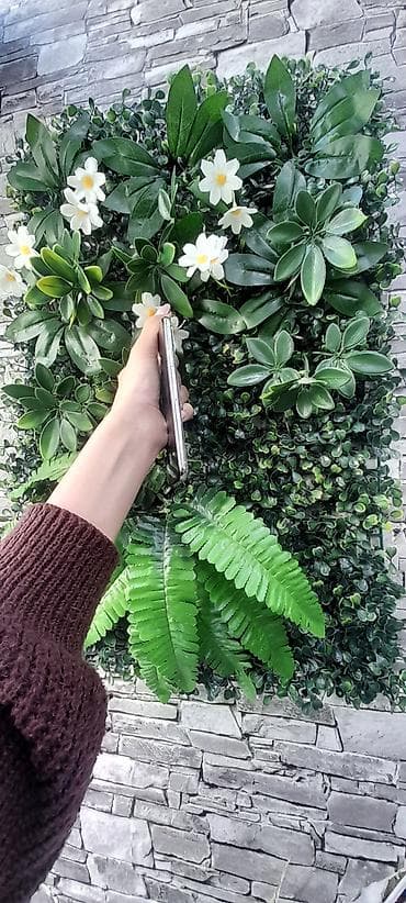 iphone 11 pro 128: IPhone X, 64 GB, Ağ, Face ID — 3