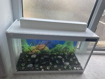 akvarium 90x40x50: Dördbucaq akvarium, Boş, 20 l, Ünvandan götürmə — 1