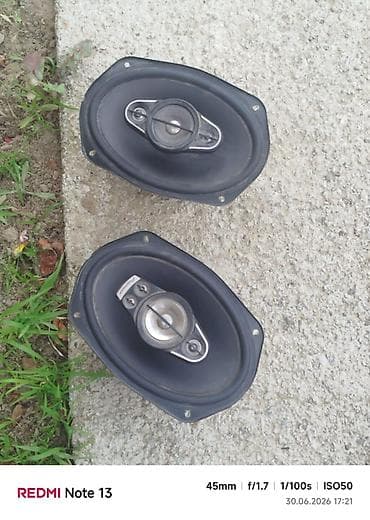 hp model rtl8821ce: Avtomobil üçün oval dinamik cütü - Ölçü: təxmini 6x9 düym (oval — 1