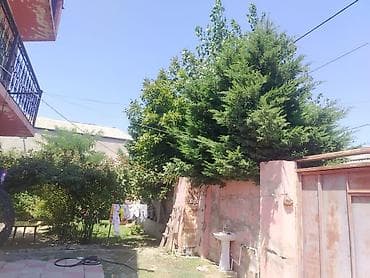turkanda bag evi: 7 otaqlı, 500 kv. m, Kredit yoxdur — 9