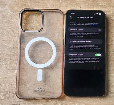 IPhone 13 Pro, Gümüşü