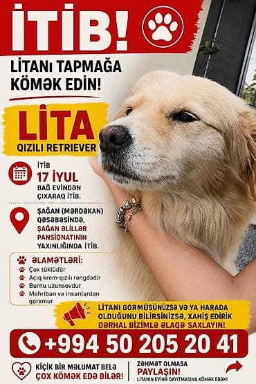 itleri: Retriever, Dişi — 1