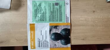 göbələk toxumu satışı: Şitil ücun qablarr qarpiz toxumlari uçun vathcapa yazn rayonlara — 16