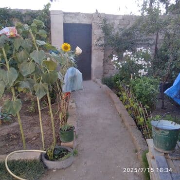 Həyət evi alıram: Satılır: həyət evi - Geniş qonaq otağı: yumşaq mebellə — 7