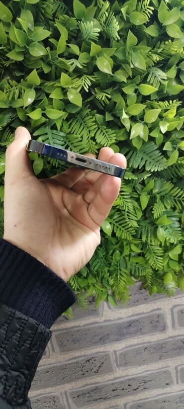 Техника для кухни: IPhone 12 Pro — 4