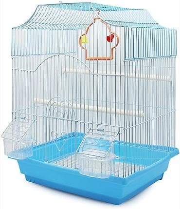 taxta qefes: ✨ Hazır sarı e lquşlarıdanişdirmaq tam rahat olurr satışda! 🐦✨ Parlaq — 10