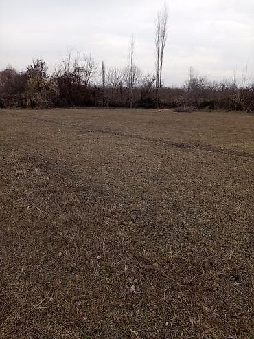 satiliq obyekt: 18 sot, Kənd təsərrüfatı, Makler, Kupça (Çıxarış) — 3