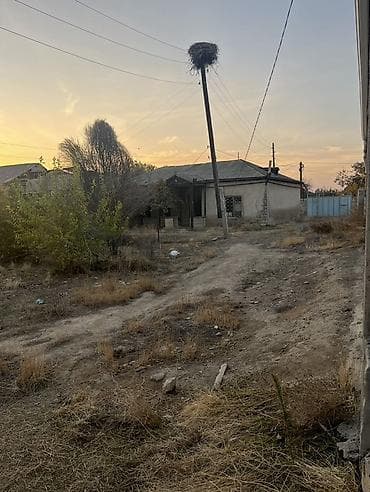 19 sot, Tikinti, Maklerlər narahat etməsin, Kupça (Çıxarış)