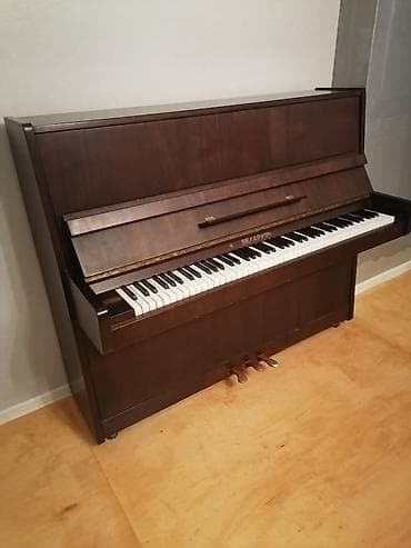 Piano, Belarus, Akustik