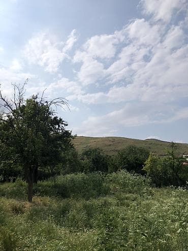 bileceri heyet: 20 sot, Tikinti, Barter mümkündür, Kupça (Çıxarış) — 2