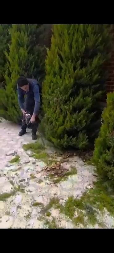 10 kva generator: Pulverizator — 3