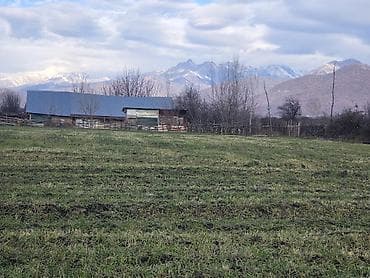 kiraye ev sumqayitda: 103 sot, Kənd təsərrüfatı, Mülkiyyətçi, Kupça (Çıxarış) — 3
