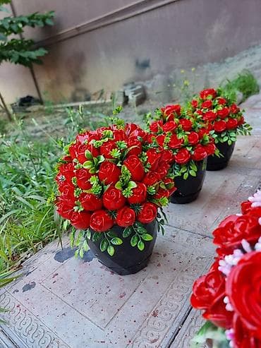 ev dekor: Məzar yanı Daş güllər (dibçəkdə) Çatdırılma mövcuddur  — 1