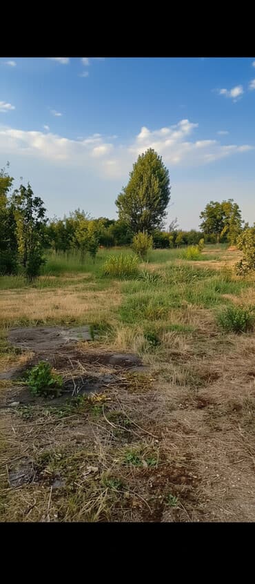 hökməli kirayə evlər: 18 sot, Biznes üçün, Mülkiyyətçi, Kupça (Çıxarış), Texniki pasport — 3