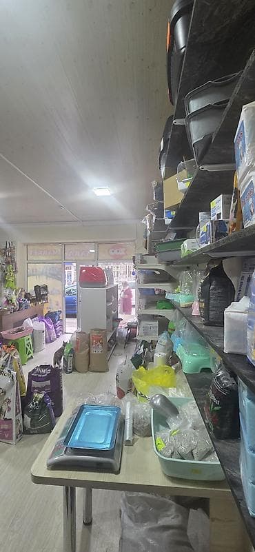 Птицы: Nizami rayonu 214 saylı məktəblə üzbəüz 30 kv.m çağaza arendaya — 5