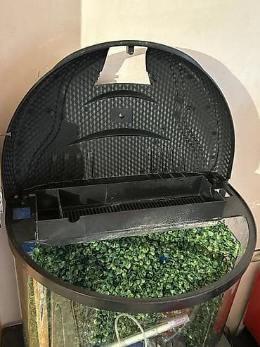 Quşlar: Boş, 140 l, Ünvandan götürmə — 2