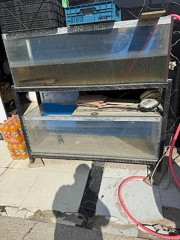 suda yaşayan canlılar: - İki mərtəbəli şüşə akvarium sistemi və metal dayaqlı raf - Üst-üstə — 1