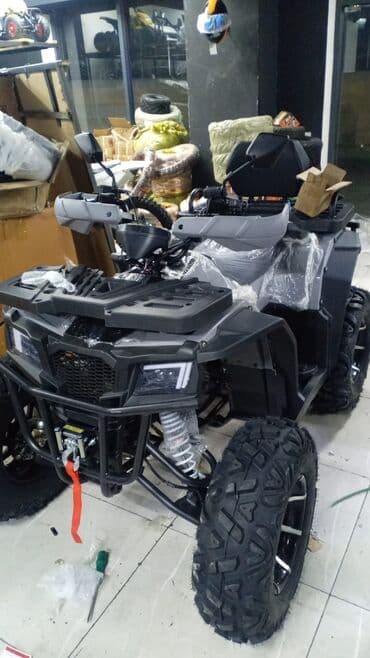 - Atv, 250 sm3, 2024 il