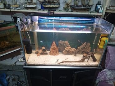 фильтр для аквариума: Akvaryum komplekti – şkaflı, sump filtrasiyalı - Şəffaf ön və yan — 3