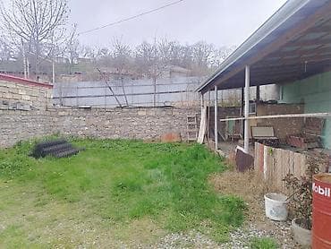 ev alqi satqisi ve kirayesi baki: Kənd təsərrüfatı — 3